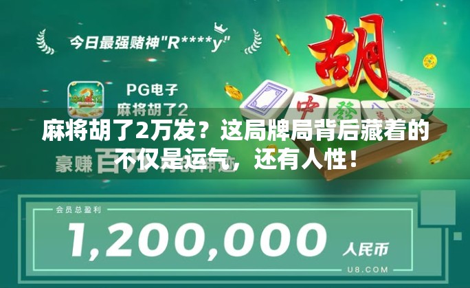 麻将胡了2万发?这局牌局背后藏着的不仅是运气,还有人性! 麻将胡了2万发?这局牌局背后藏着的不仅是运气,还有人性!