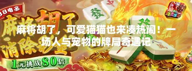 麻将胡了,可爱猫猫也来凑热闹!一场人与宠物的牌局奇遇记 麻将胡了,可爱猫猫也来凑热闹!一场人与宠物的牌局奇遇记